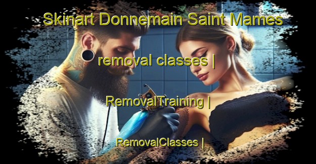Skinart Donnemain Saint Mames removal classes | RemovalTraining | RemovalClasses | SkinartTraining-France